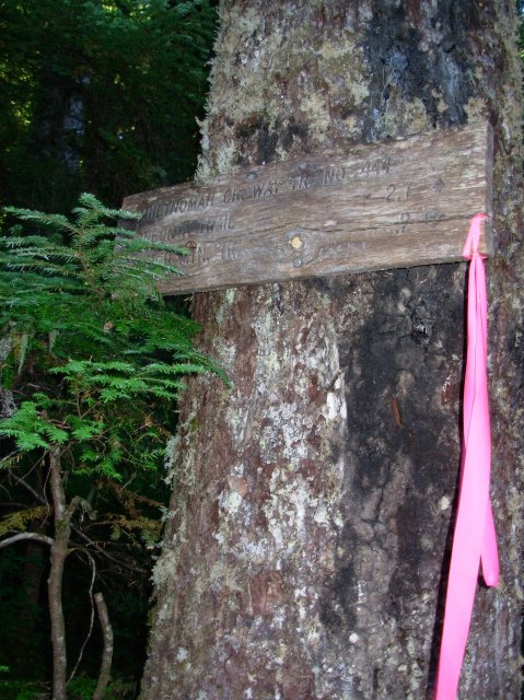 7.25.06 Larch Mountain 015 